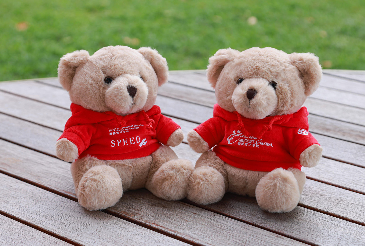 Custom logo teddy bears with branded logos printed on red hoodies