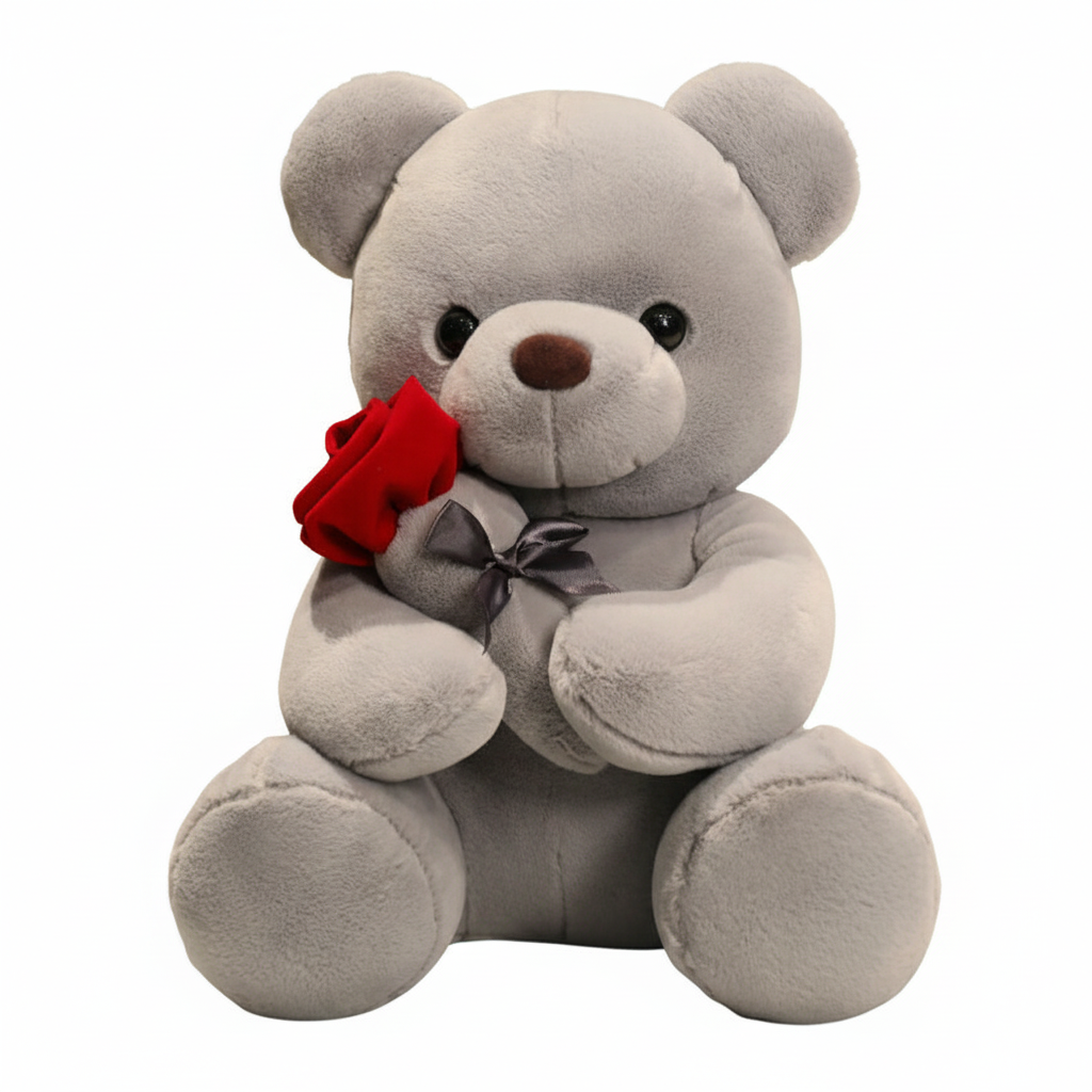 Gray teddy bear holding a red rose on a white background