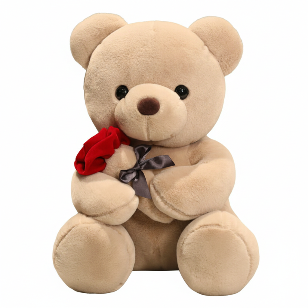 Beige teddy bear holding a red rose with a brown bow on a white background
