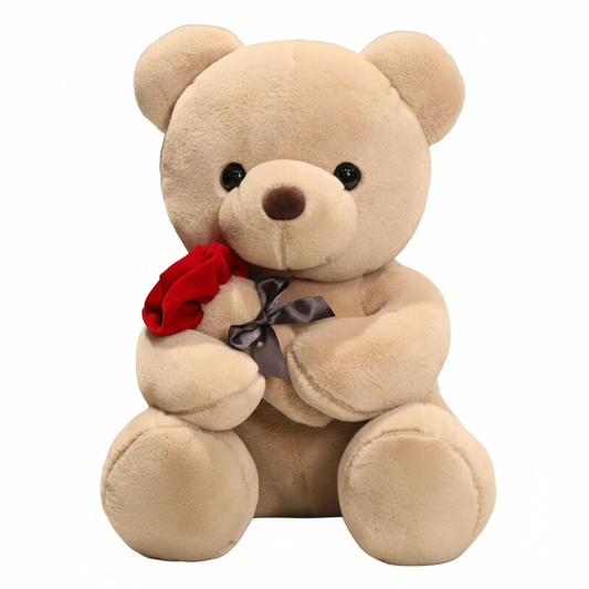 Beige teddy bear holding a red rose with a brown bow on a white background