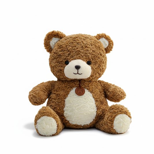 Brown teddy bear with a white belly on a white background
